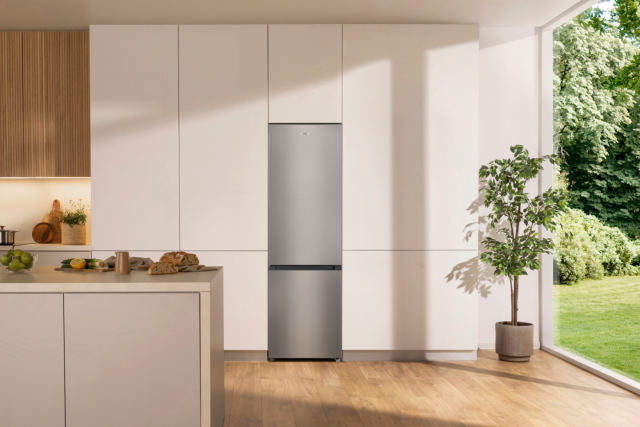 Gorenje RK4182PS4 Kühl-Gefrierkombination 269 L Grau Metallic